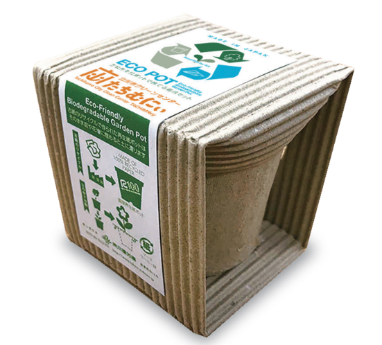 環境フェアinたちむにぃ2025